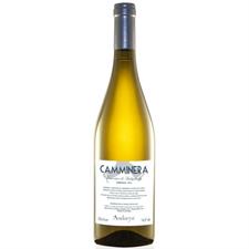 CAMMINERA VERMENTINO DOC AUDARYA CL.75